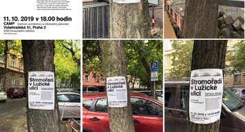 Veřejná debata o stromořadí v Lužické ulici (video)